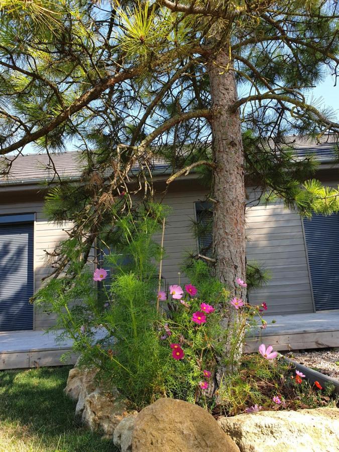 Cosy Wood House Bed & Breakfast Laubressel Exterior photo
